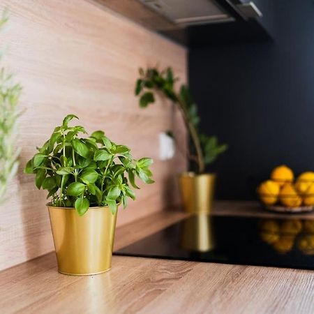 City Center - 3 Rooms - New Building - Private Parking Place - Garage Wroclaw Ngoại thất bức ảnh
