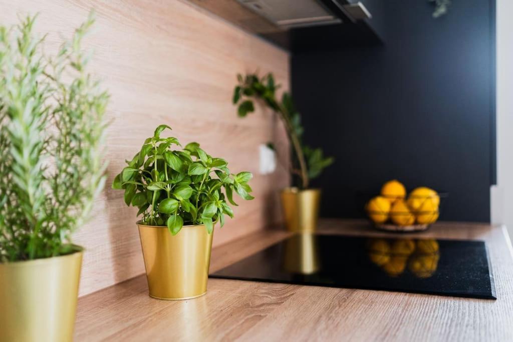City Center - 3 Rooms - New Building - Private Parking Place - Garage Wroclaw Ngoại thất bức ảnh